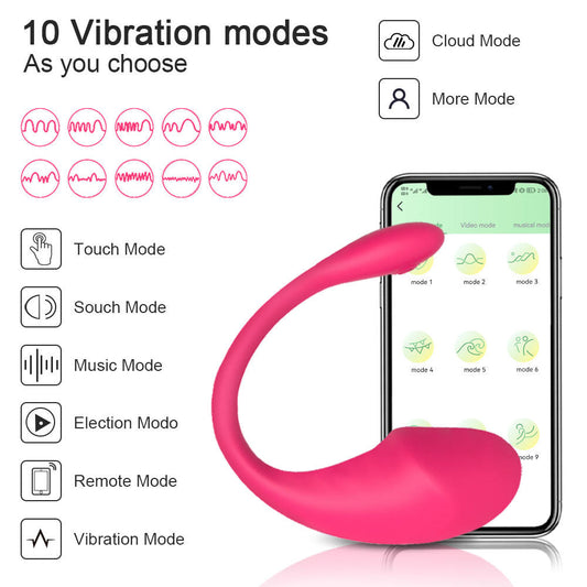 App Controlled Egg Panty Vibrator